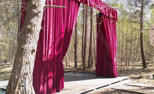 SCENE EXTERIEURE - FORET DE GAMBAIS