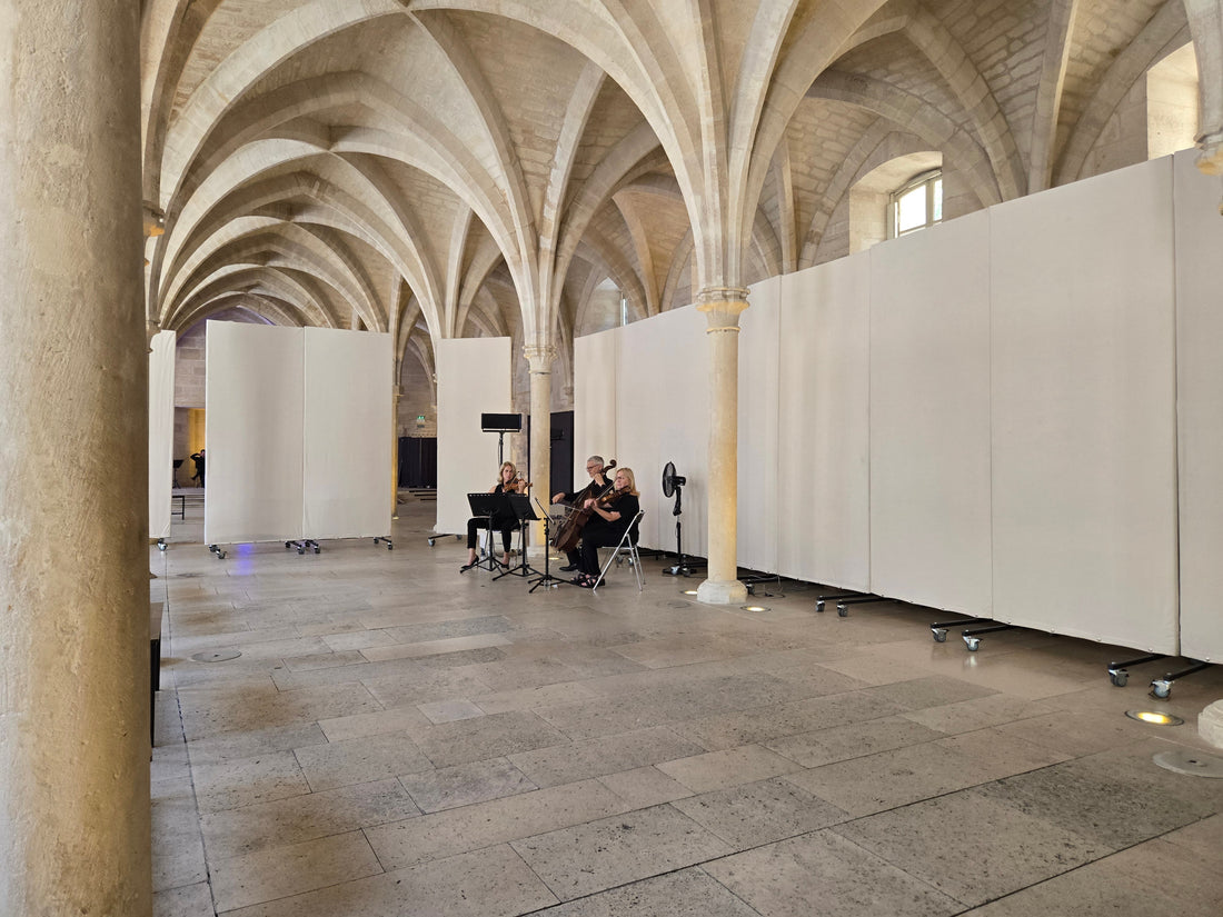 OCCULTATION VELOURS - LE MYSTERE MOZART