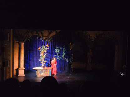 MG800 - Maille Grattée